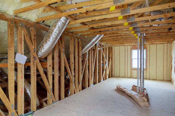 Best Insulation Maintenance and Repair in Janesville, MN