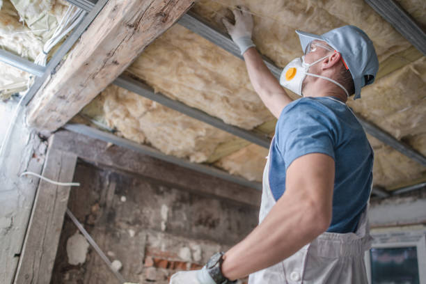 Best Insulation Installation Services in Janesville, MN