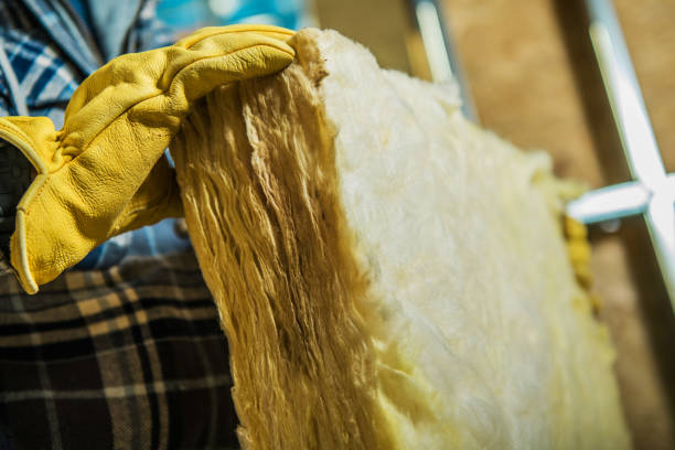 Best Commercial Insulation in Janesville, MN