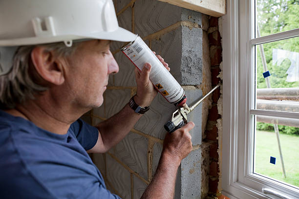 Best Residential Insulation in Janesville, MN