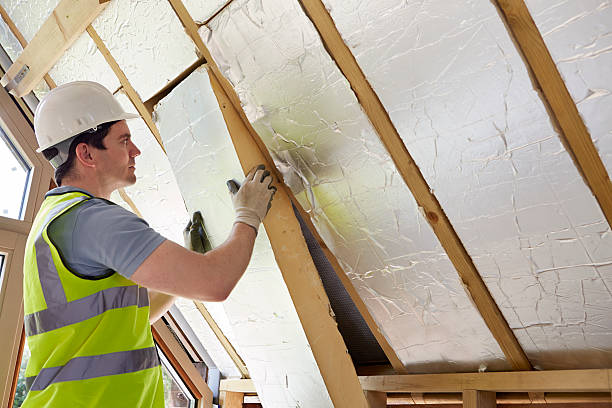 Best Commercial Insulation in Janesville, MN
