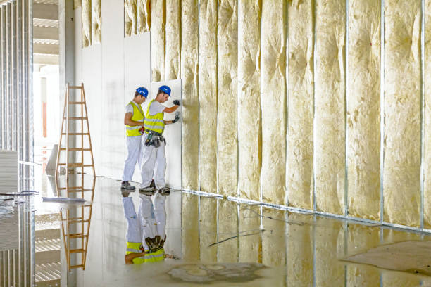 Best Insulation Maintenance and Repair in Janesville, MN